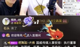 老板爆料网红是谁呀视频,老板爆料网红身份大揭秘！